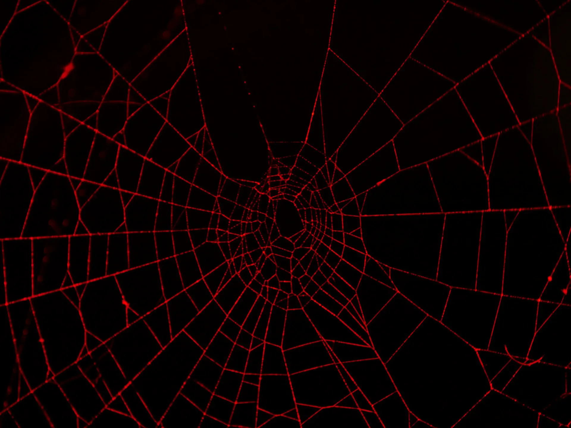 Google Core Web Vitals: